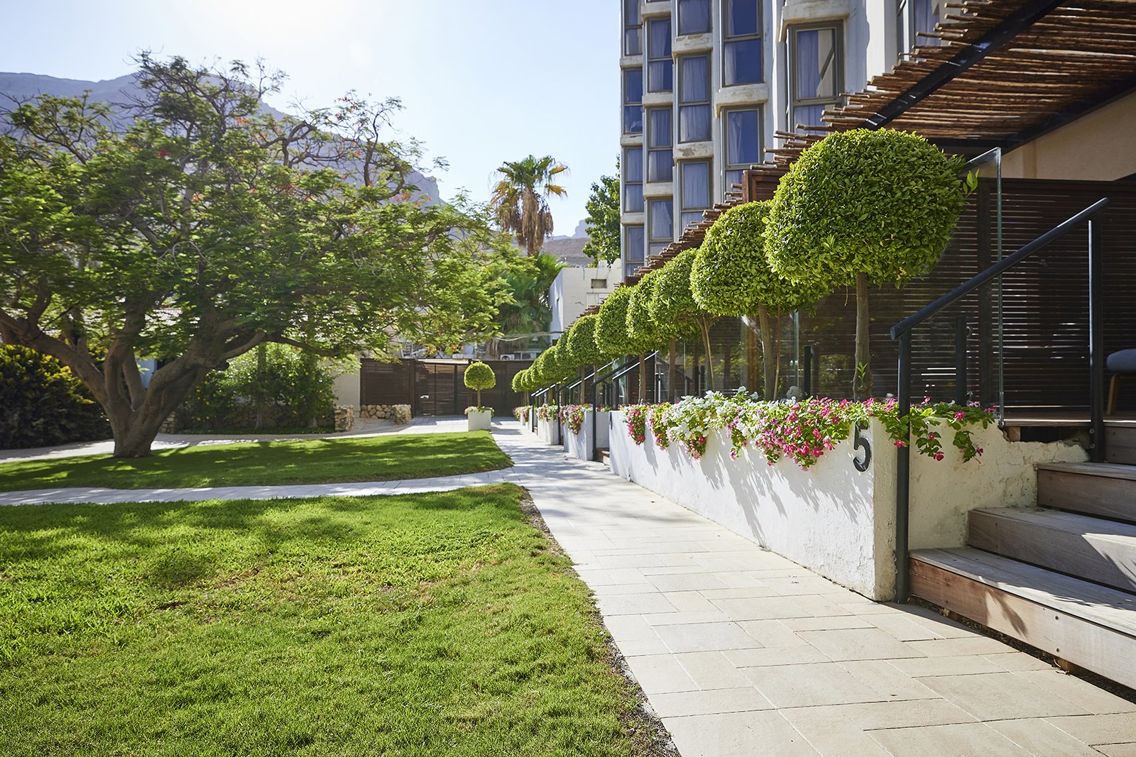 אואזיס ספא קלאב ים המלח – Oasis Spa Club Dead Sea